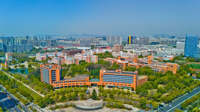 连接器：搭建现代电子设备的桥梁**