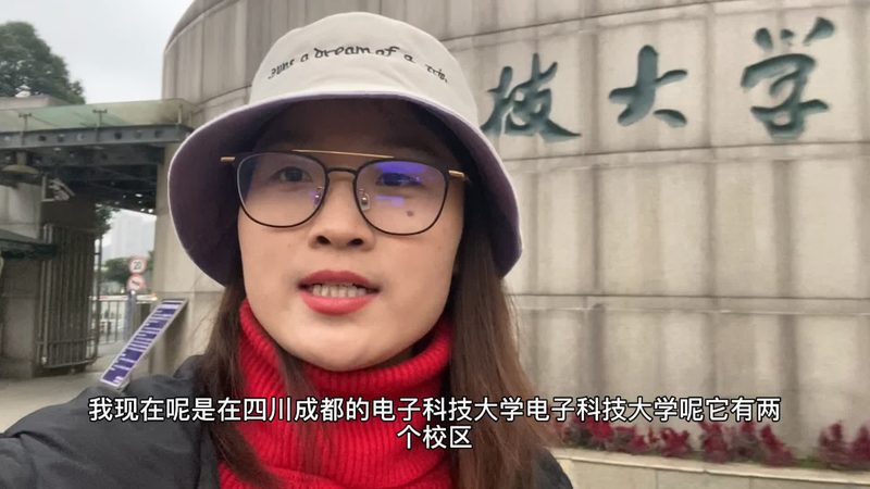 成都电子模块与芯片市场的差异解析