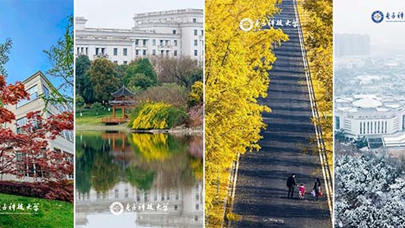 电子元件焊接加工标准：揭秘其重要性及关键要素